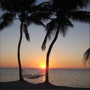 Meet your Posher, Connie